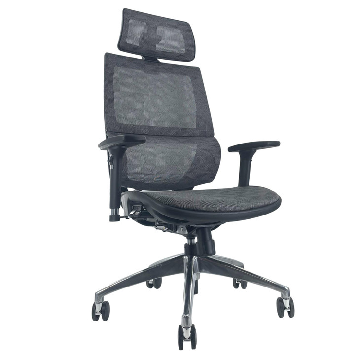 ErgoDC Ergonomic Executive Office Chair High Back Full Mesh Grey