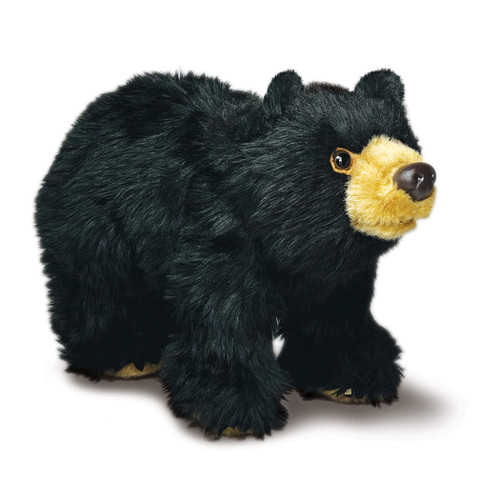 Rescue Black Bear Rescue Black Bear
