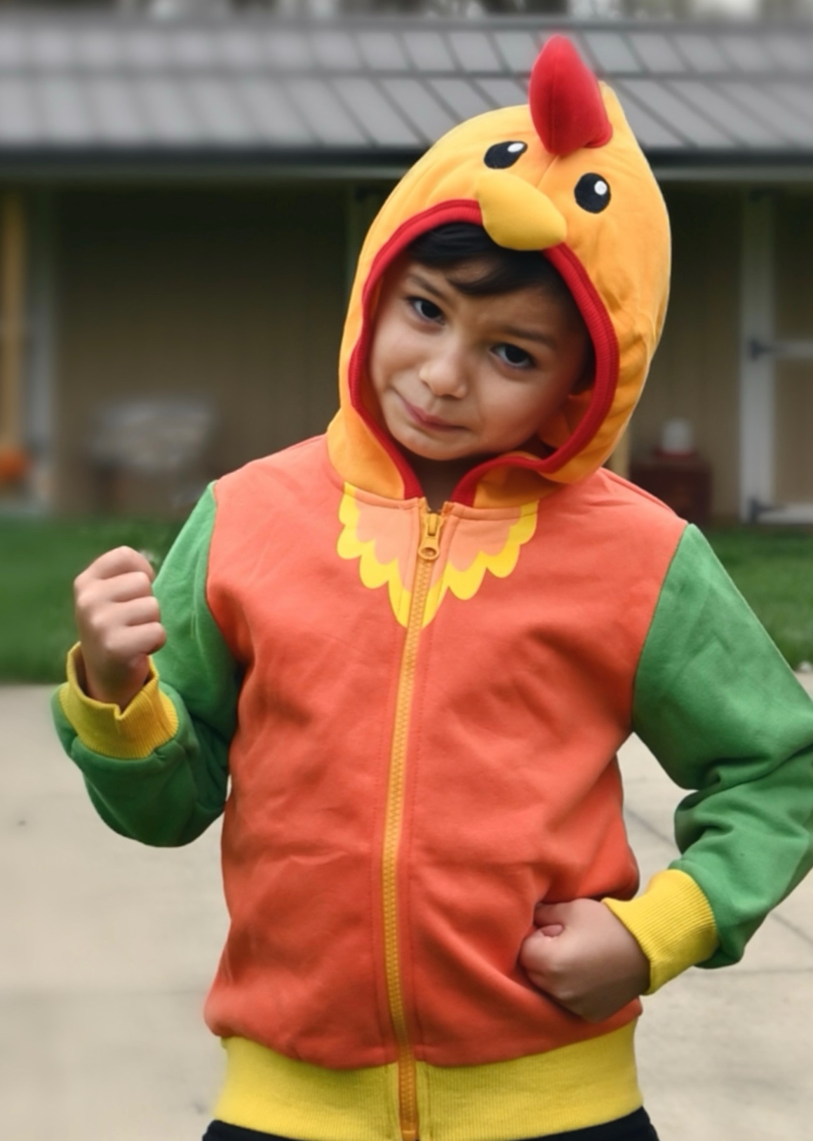 Rocket the Rooster 3D Hoodie - Doodle Pants