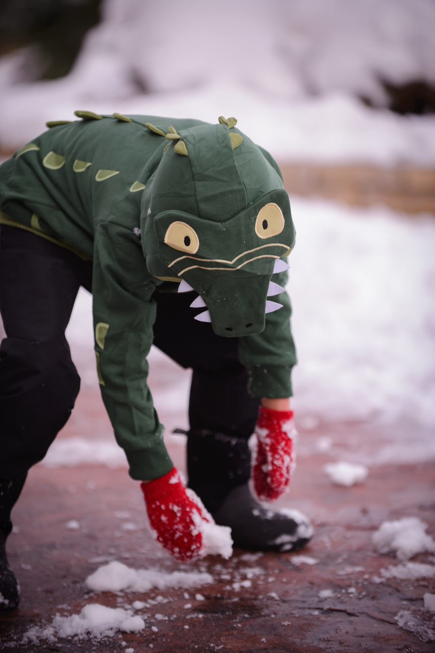 Alligator 3D Hoodie - Doodle Pants