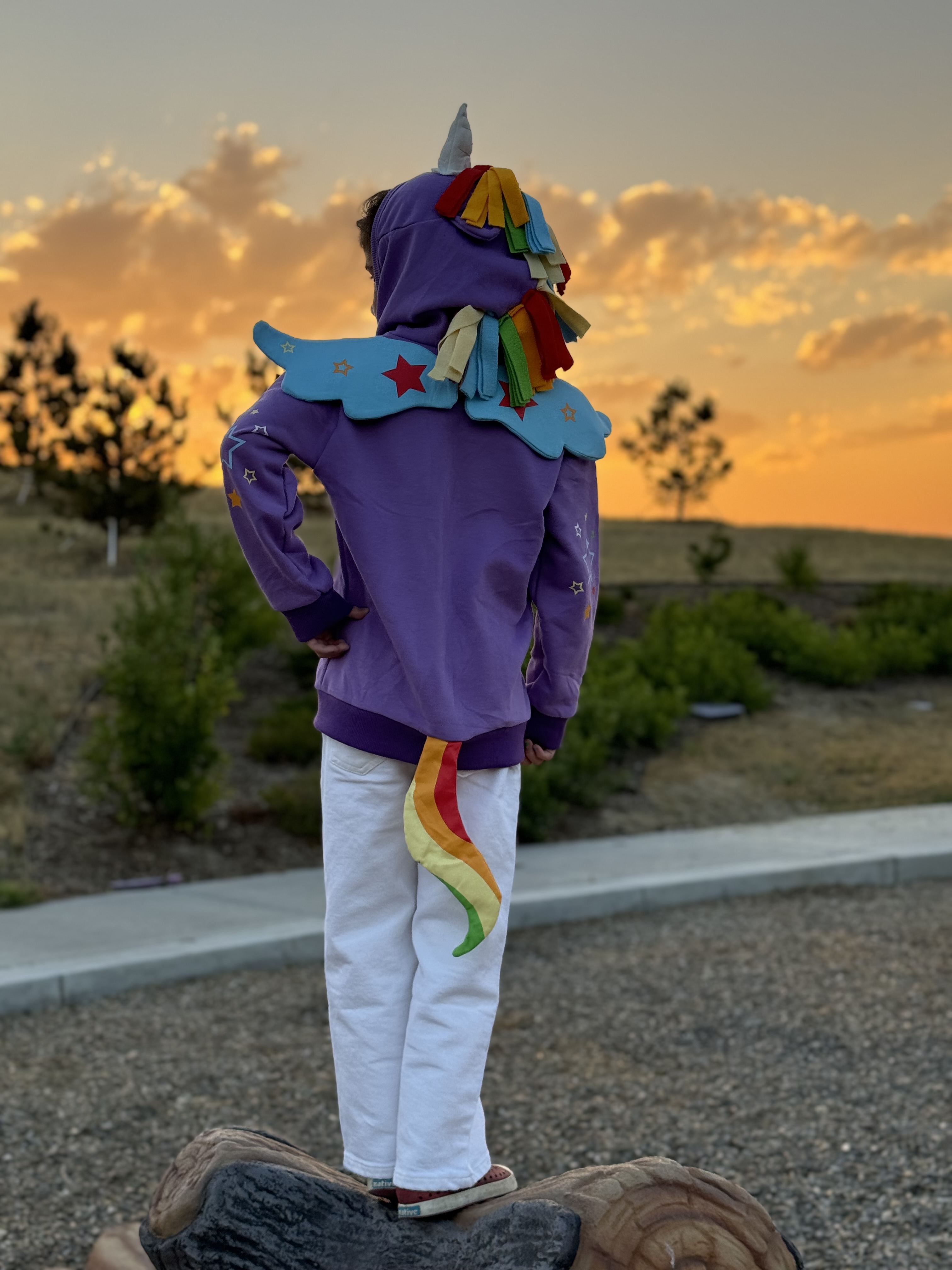 Hotelkalingaashok Little Pony Jacket Adult Rainbow Unicorn Hoodie