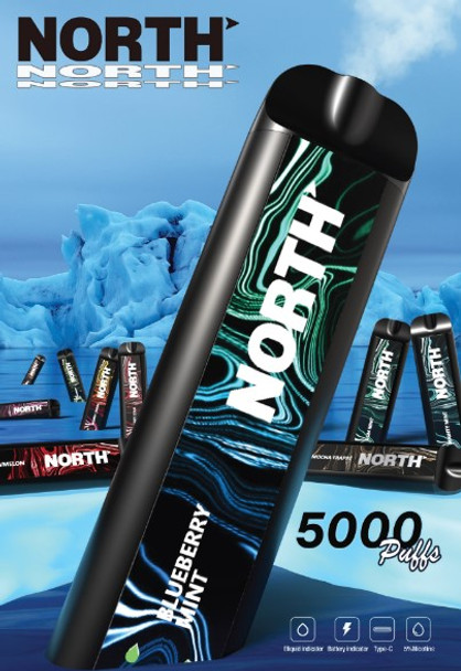 North 5000 Puffs DISPOSABLE VAPE