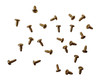 LYRE PENDULUM NECK AND CROSS BOWTIE GOLD SCREWS - 25 PIECES