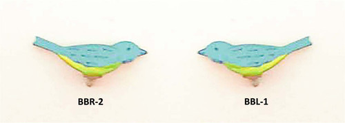 LUX PENDULETTE BLUE BIRDS