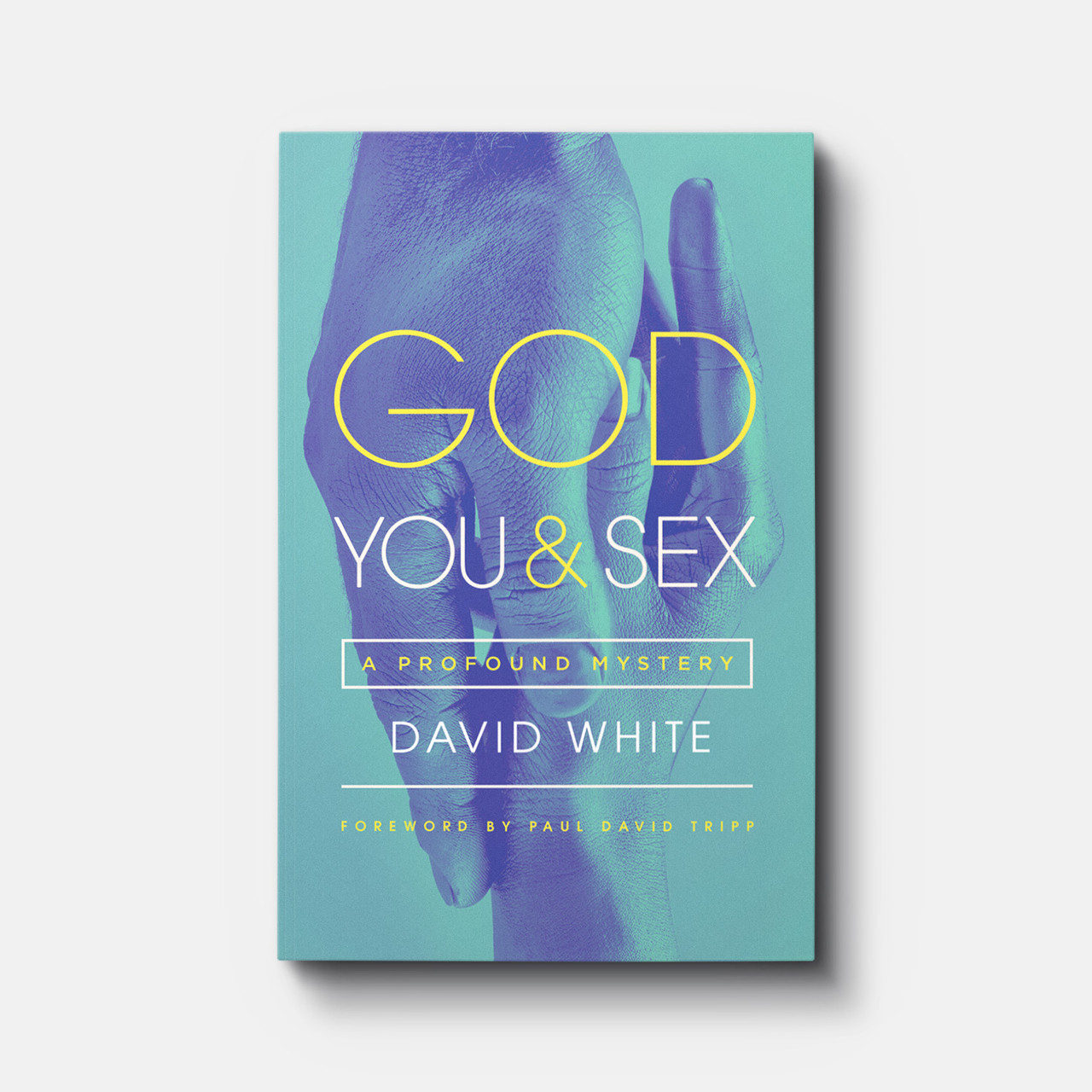 Buy God, You, and Sex, a Profound Mystery Relationships Book image photo