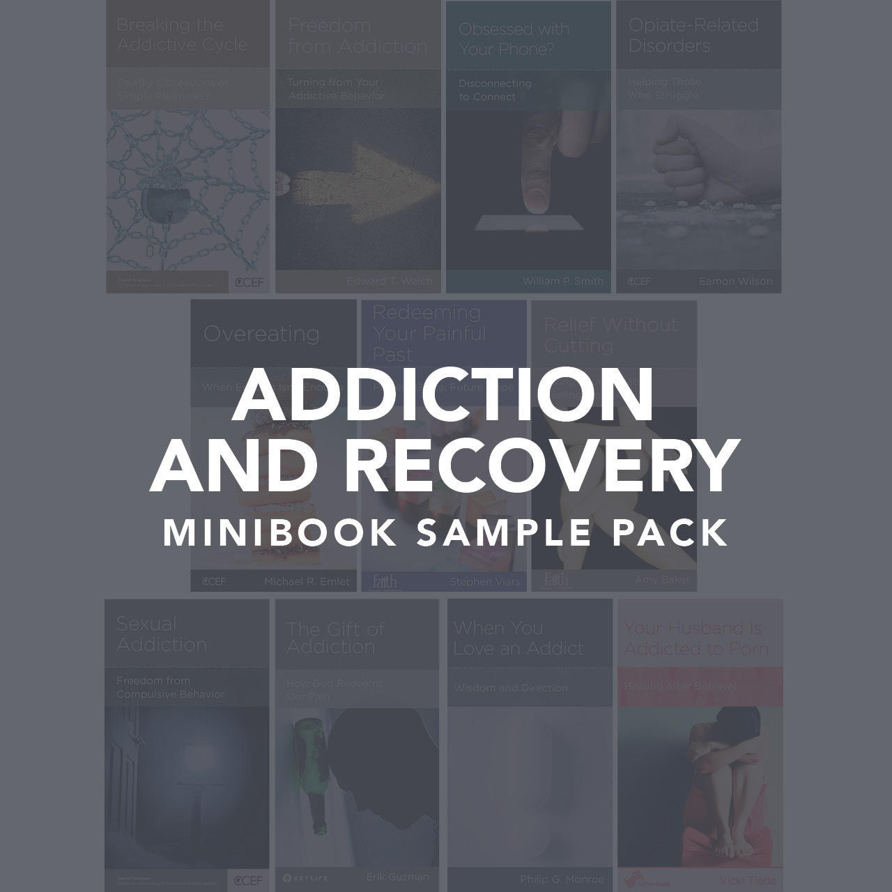 Buy Addiction and Recovery Minibook Sample Pack, Minibook Special