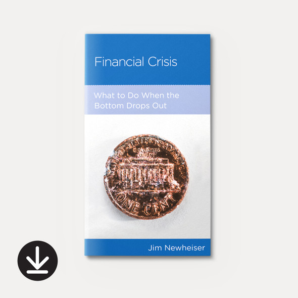 Financial Crisis: What to Do When the Bottom Drops Out (eBook)