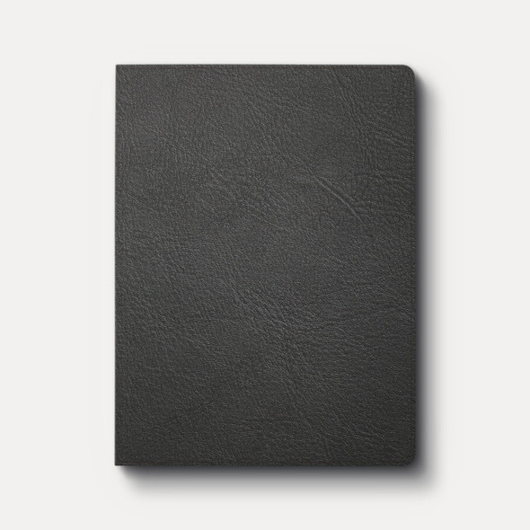 CSB Life Counsel Bible: Practical Wisdom for All of Life (Black Genuine Leather)