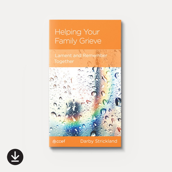 Buy Helping Your Family Grieve (eBook) By Darby A. Strickland