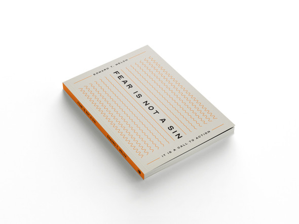 Fear Is Not a Sin: It Is a Call to Action (eBook)