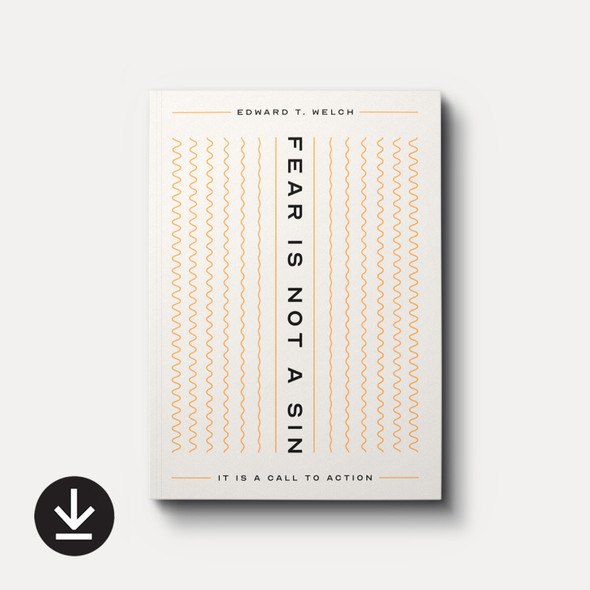 Fear Is Not a Sin: It Is a Call to Action eBook Fear Is Not a Sin: It Is a Call to Action eBook