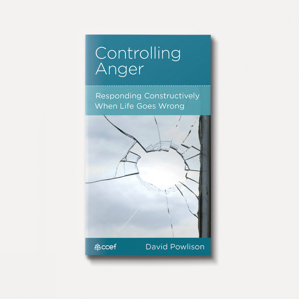 Controlling Anger: Responding Constructively When Life Goes Wrong | Stapled | By David Powlison