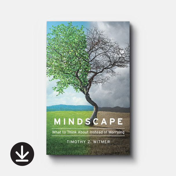Mindscape: What to Think about Instead of Worrying | eBook | By Timothy Z. Witmer Mindscape: What to Think about Instead of Worrying | eBook | By Timothy Z. Witmer