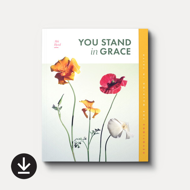 You Stand in Grace: Devotions for Walking in Faith (eBook) You Stand in Grace: Devotions for Walking in Faith (eBook)