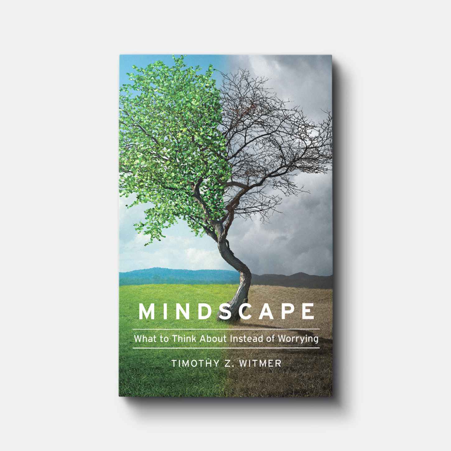 Mindscape: What to Think about Instead of Worrying