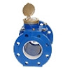 150mm Flanged IRT Meter with 100L Pulse Output