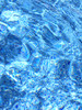 Sparkling Seas
