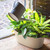Earth Taupe Multiple Large Pot Plant Holder