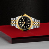 Tudor Black Bay 39 S&G M79663-0001