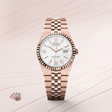 Rolex Land-Dweller 36 in Everose Gold, m127235-0001 - Razny Jewelers