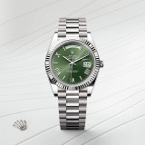 Rolex Day-Date 40 in White Gold, m228239-0033 - Razny Jewelers