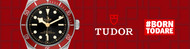 TUDOR