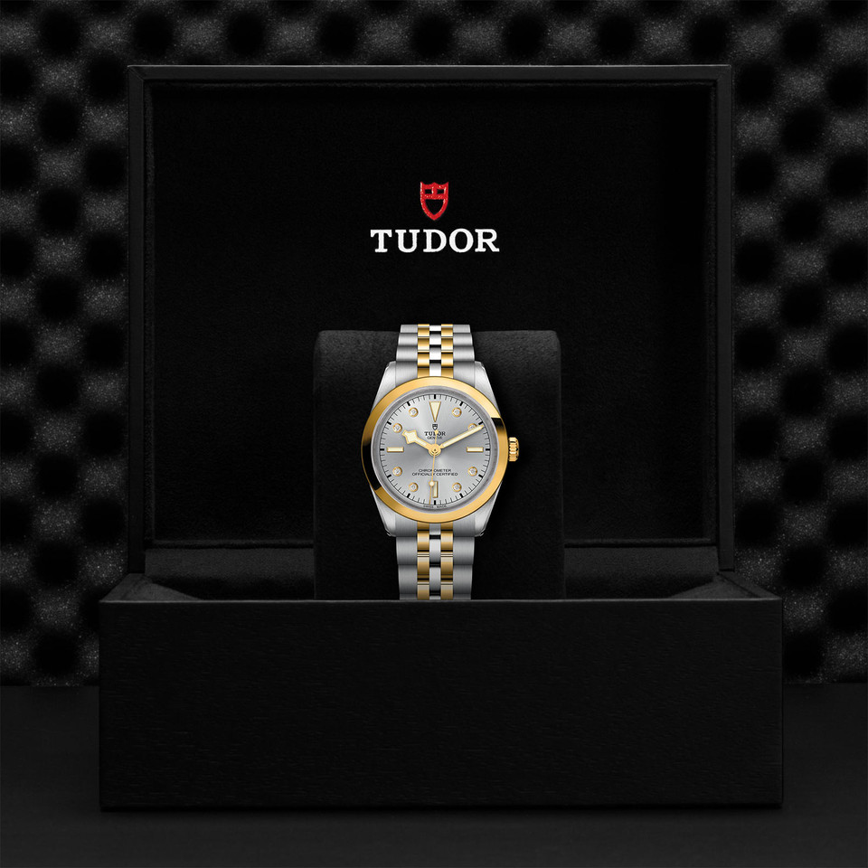 TUDOR Black Bay 36 S&G  M79643-0007