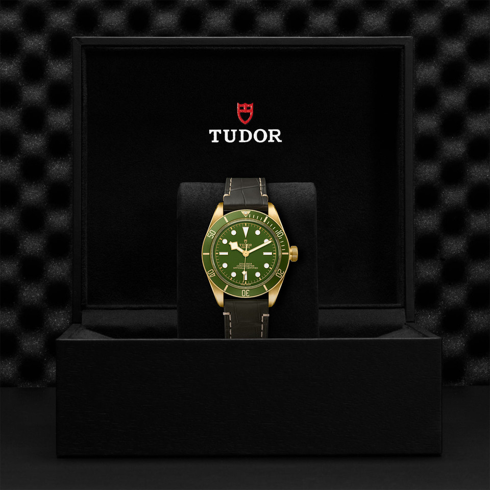 TUDOR Black Bay Fifty-Eight 18k M79018V-0001