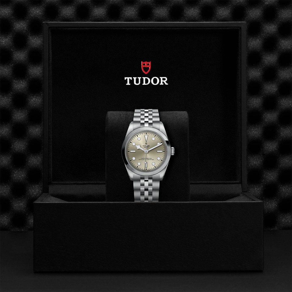 TUDOR Black Bay 36 M79640-0003