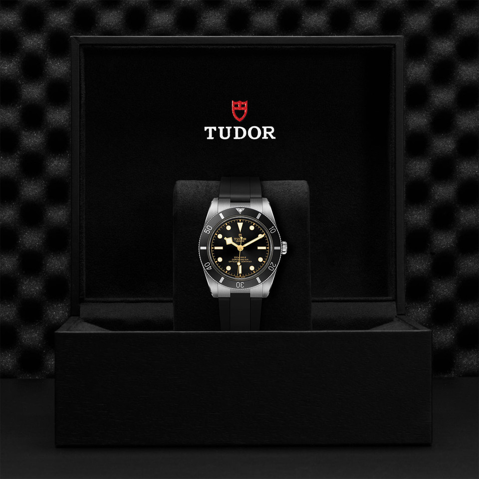 TUDOR Black Bay 54 M79000N-0002