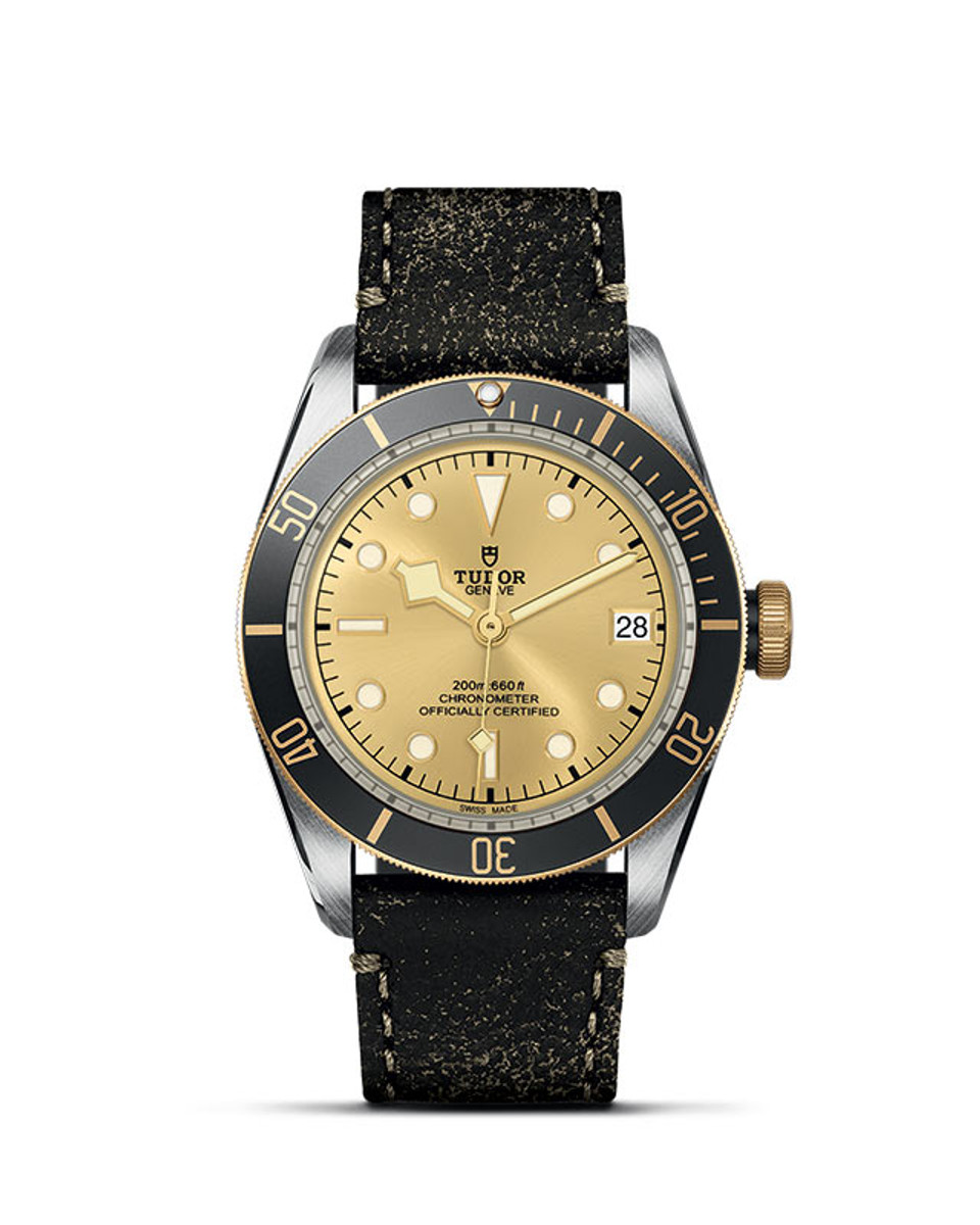 Black Bay S&G 41mm Steel and Gold M79733n-0003 Razny Jewelers