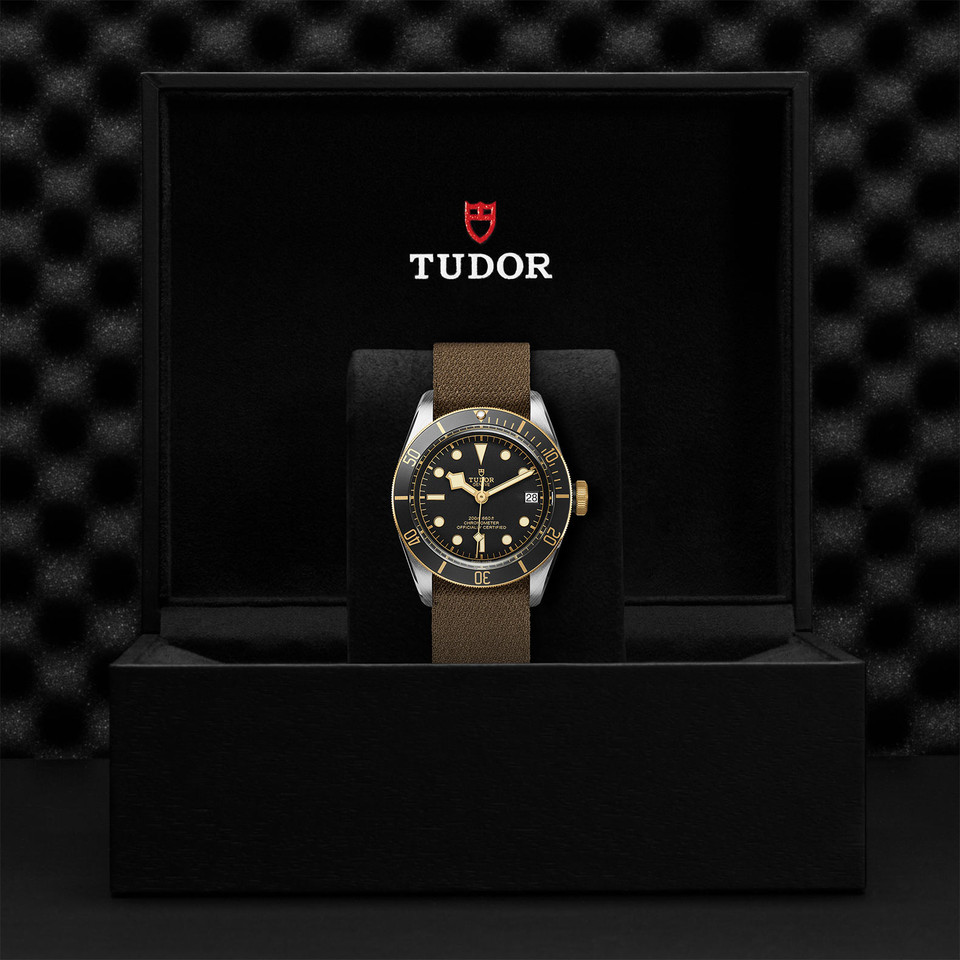 TUDOR Black Bay S&G 41mm Steel and Gold M79733n-0005