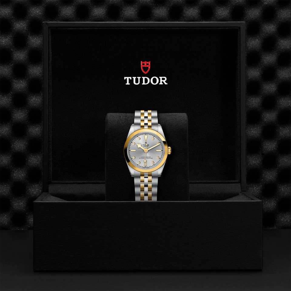 TUDOR Black Bay 31 S&G M79603-0007