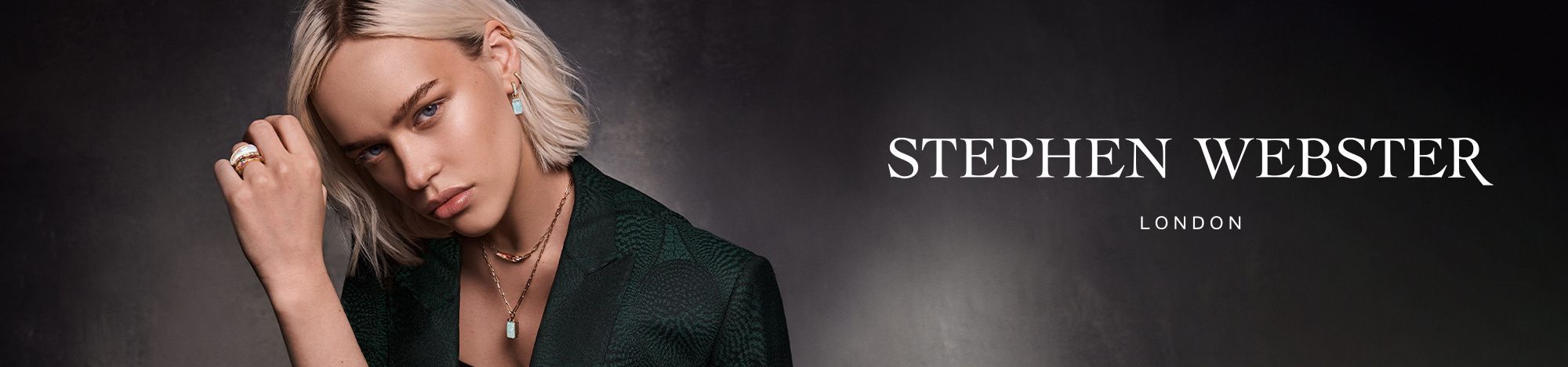 Stephen Webster Banner