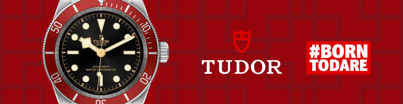 Tudor Banner