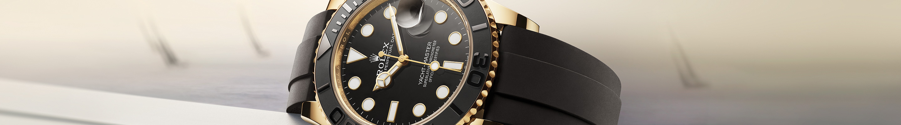 rolex collection