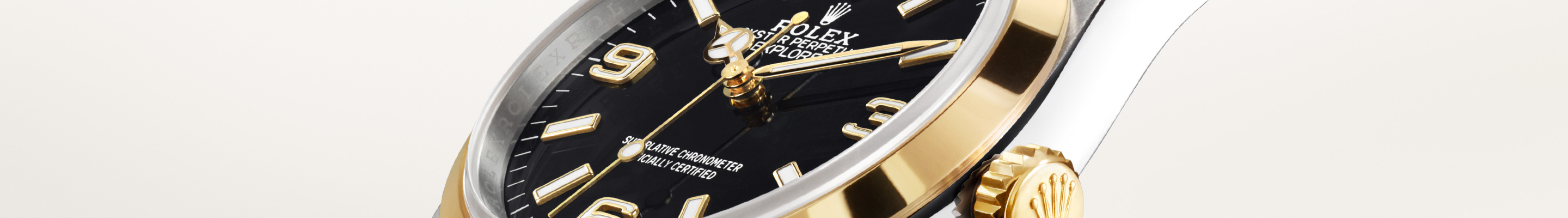 service your rolex