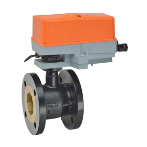 Belimo B6300S-110+ARX24-3-T N4