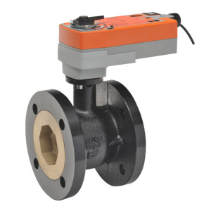 Belimo B6300S-110-250+AFRX24-MFT