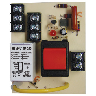 Johnson Controls Parts RIBMNU1SM-250