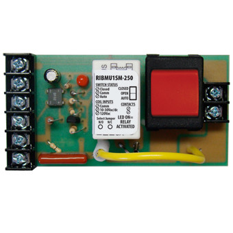 Johnson Controls Parts RIBMU1SM-250