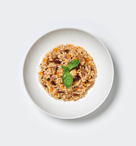 Hongo Risotto with vegetables 1 pack - 9.8 oz | Vegan & Gluten-Free