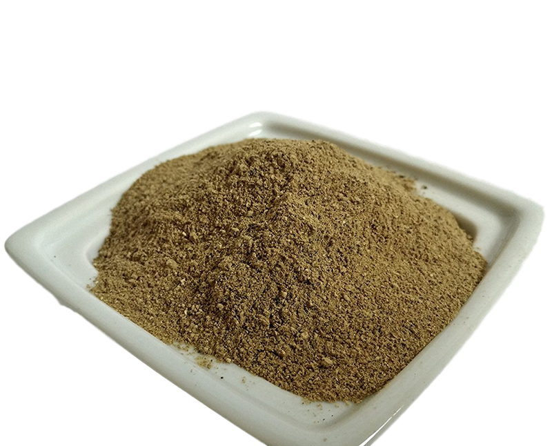 organic porcini powder