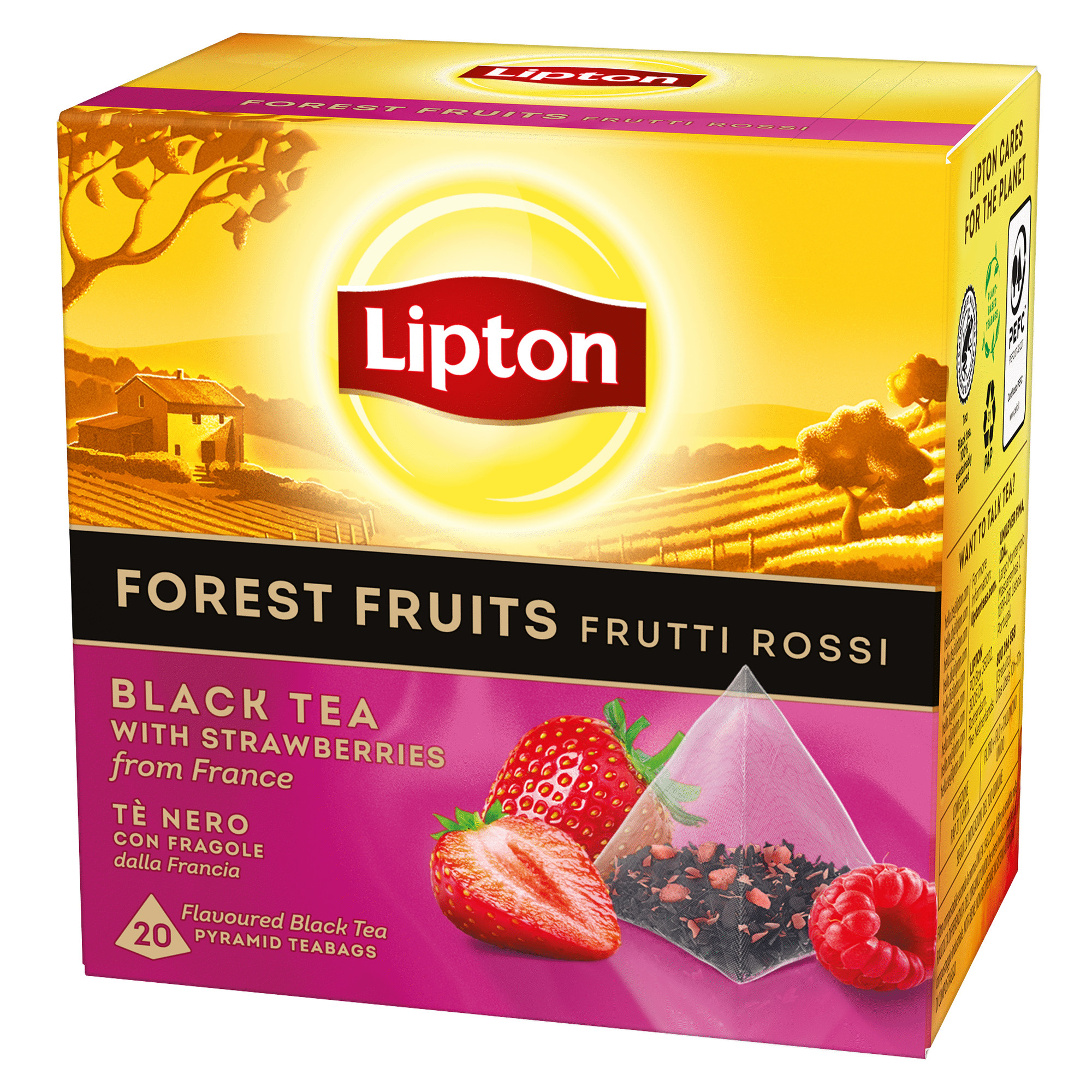 Lipton Black Tea Forest Fruit Premium Pyramid Tea Bags