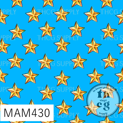 MAM430 Gold Stars