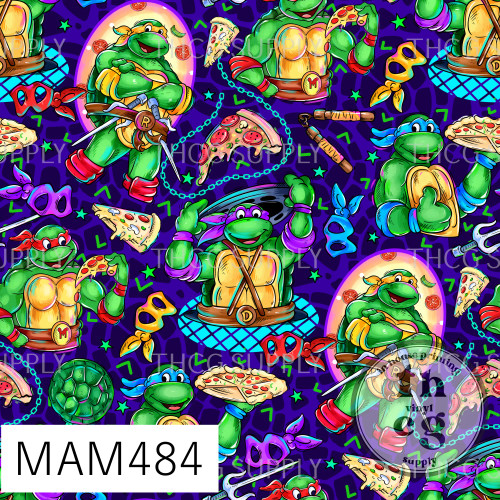 MAM484 NJ Turtles