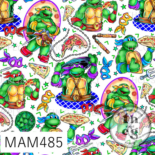 MAM485 NJ Turtles