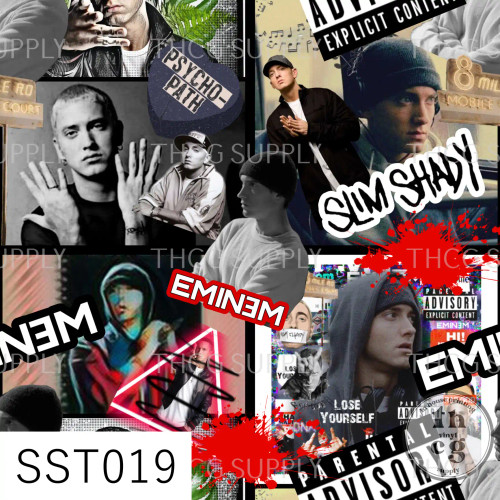SST019 Eminem Collage