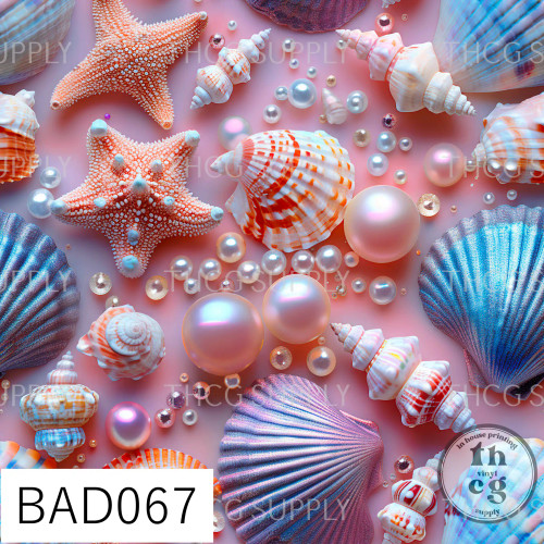 BAD067 Sea shells