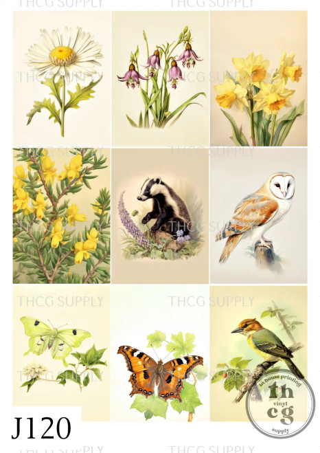 Journal Panel - J120 British Nature